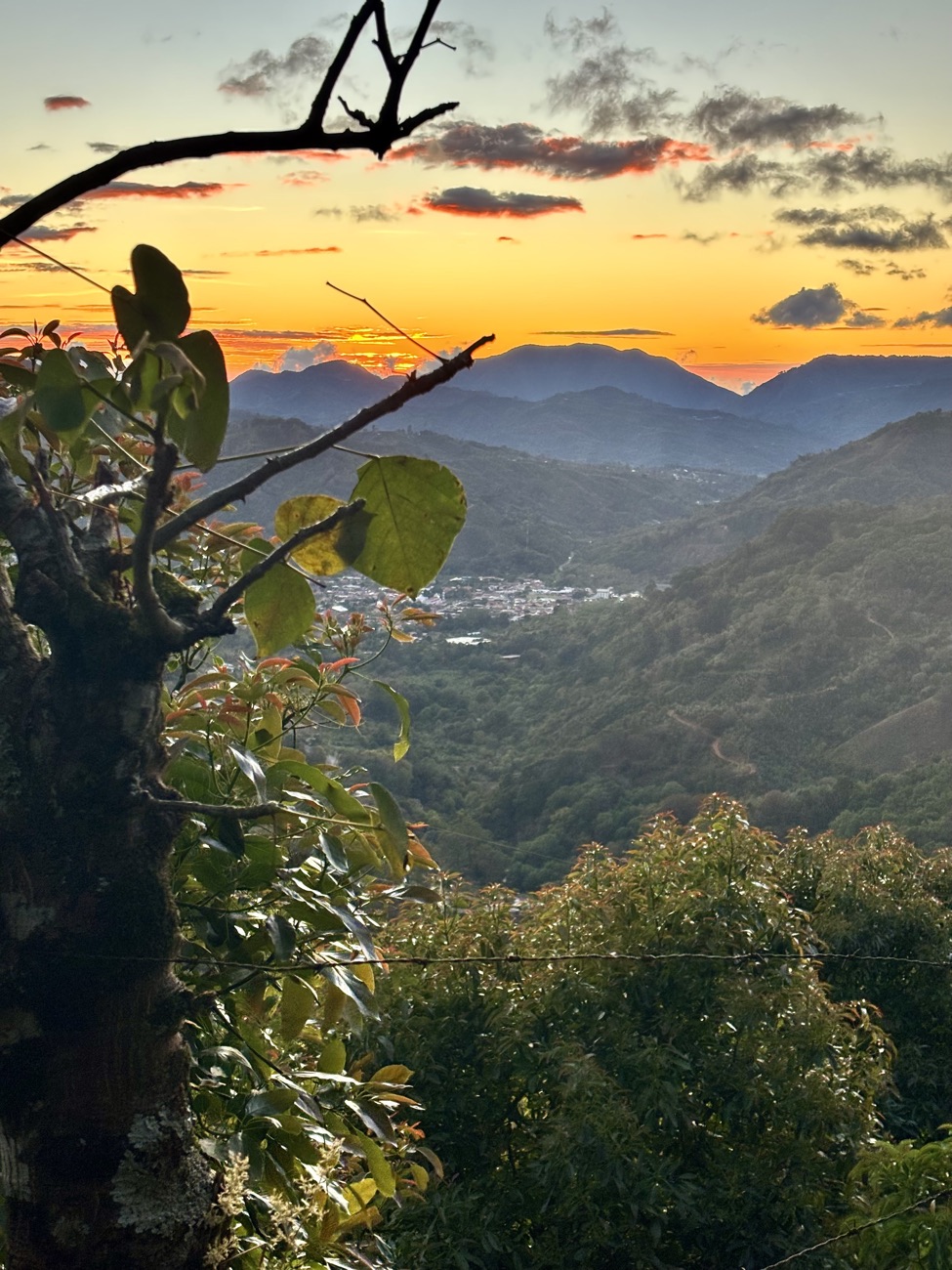Sunset over the hills above Mubende, Uganda, AVN's first origin.